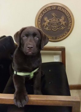 5f6dee81d274a4a1e9706bdf_Rune-Court1